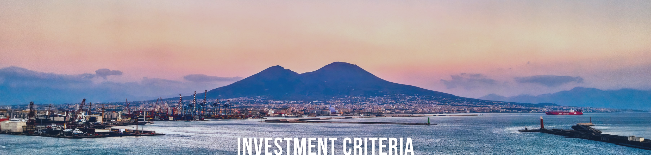 vv-investment-criteria2